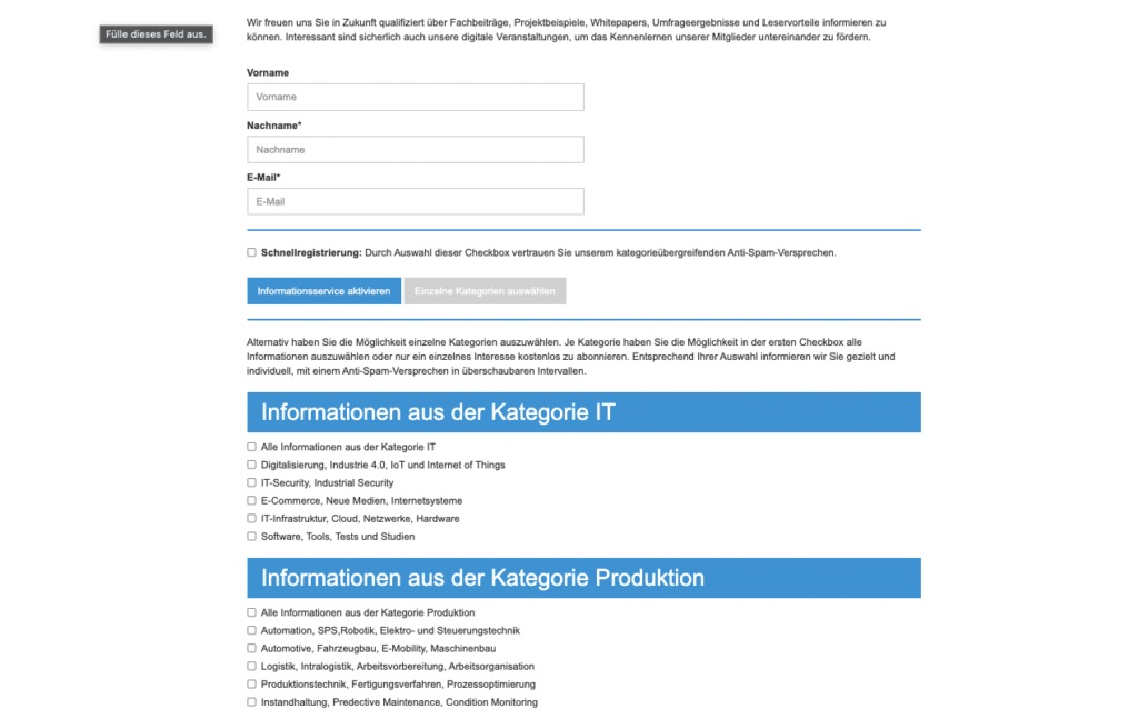 Beispiel eines individuellen Formulars, entwickelt für IT-Wegweiser